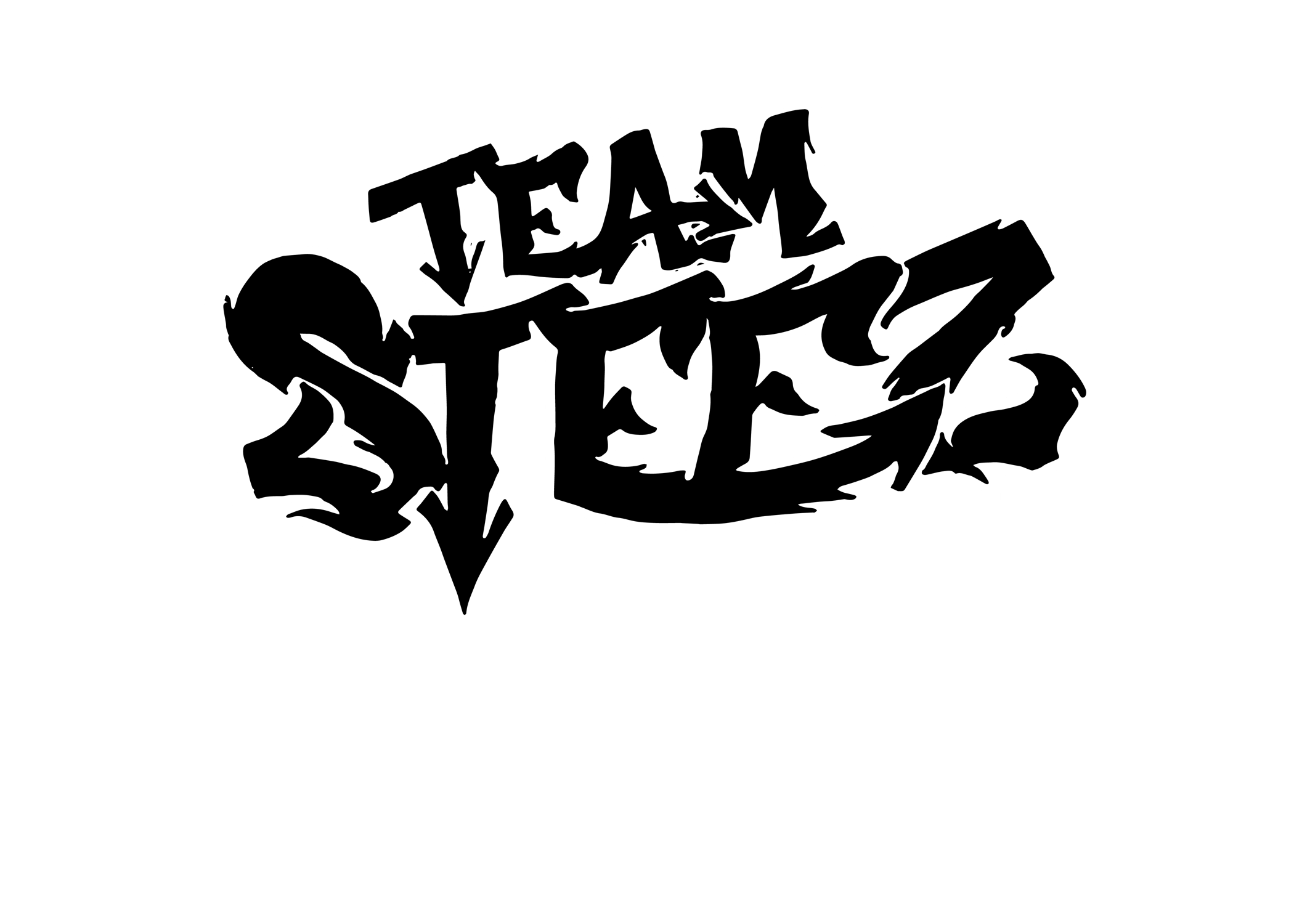 Team Steez